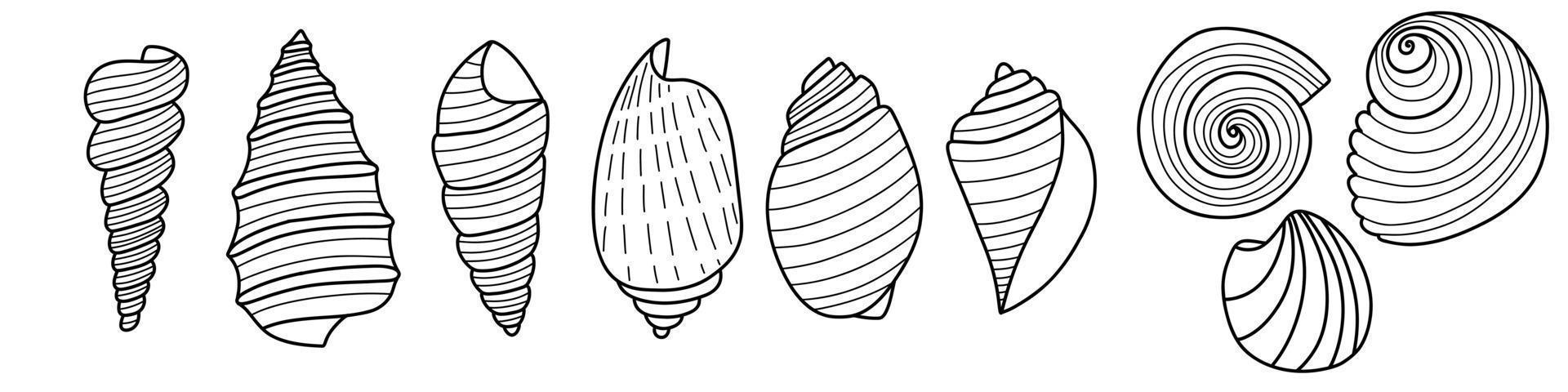 conjunto de conchas de esboço de arte de linha. ilustração vetorial isolada do fundo. símbolo de decoração de cálcio de saúde. diferentes formas de conchas. ícone do oceano do mar. projeto de areia e praia. vetor