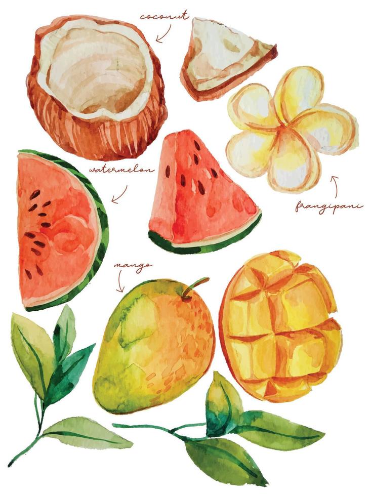 elementos de frutas tropicais em aquarela vetor