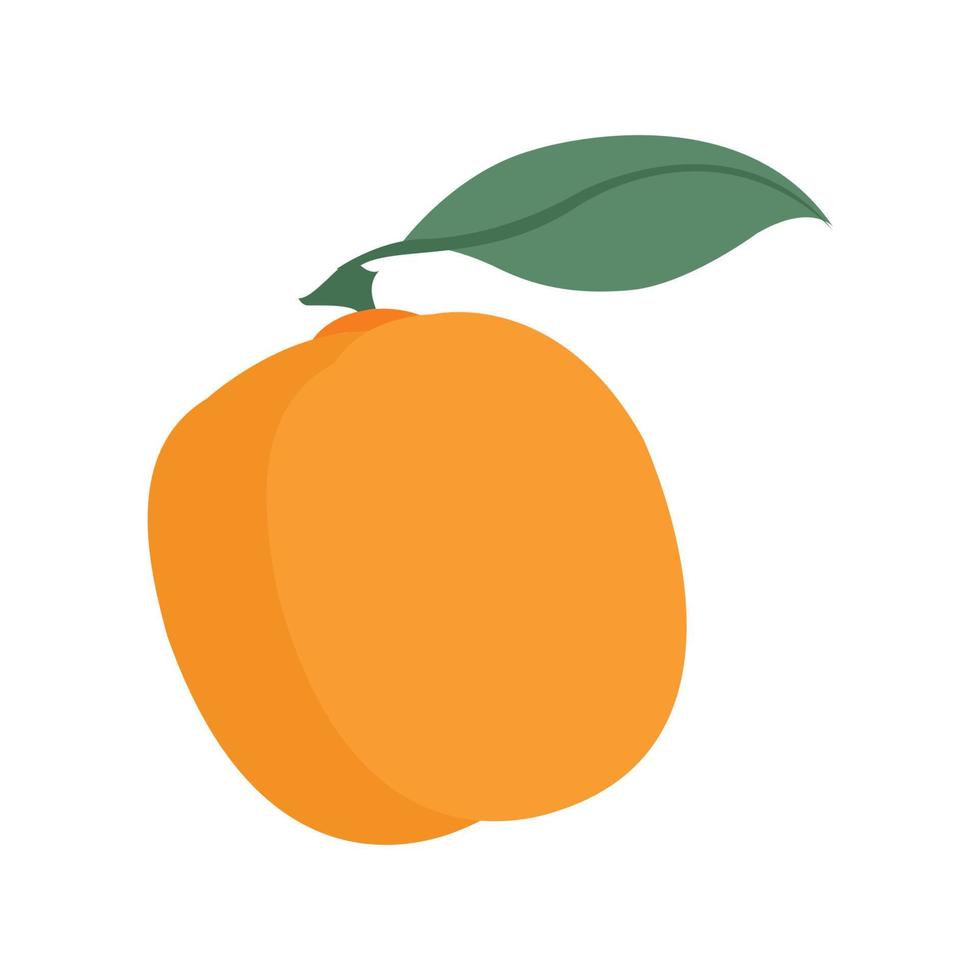ícone de fruta laranja. ilustração plana de ícone de vetor de frutas laranja