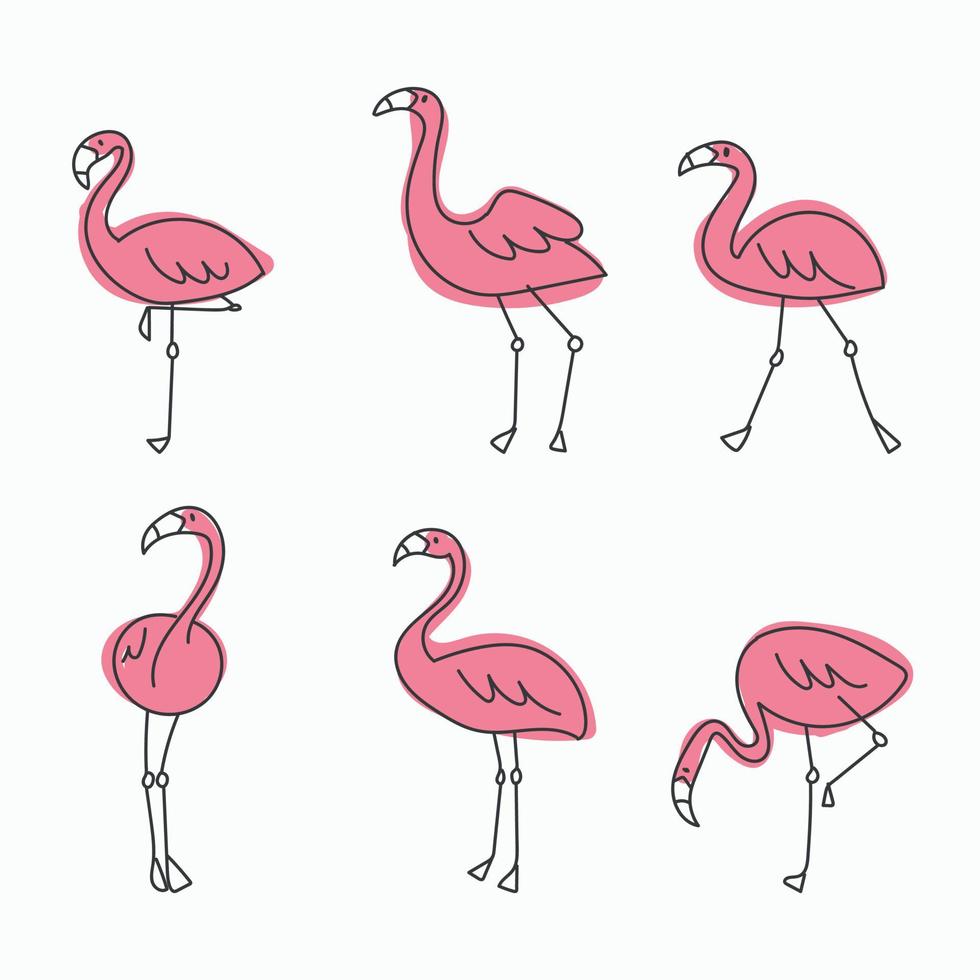 conjunto de flamingos em diferentes poses vetor