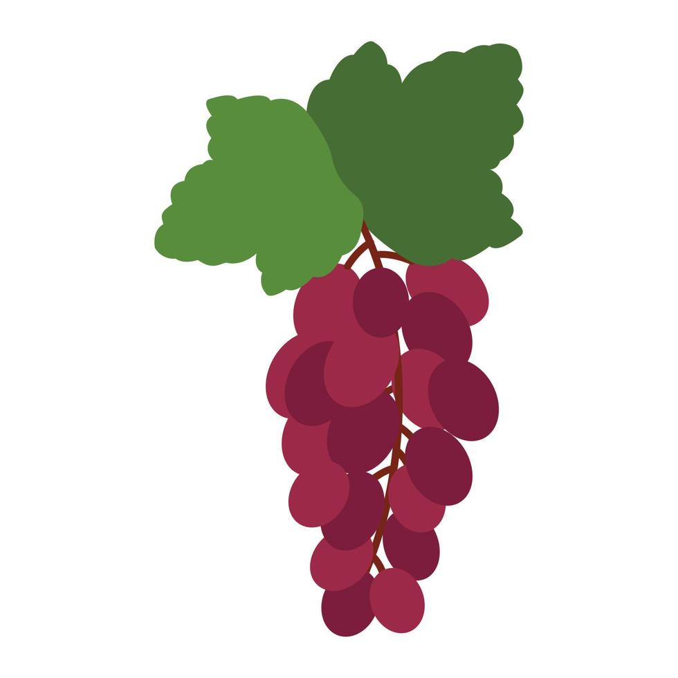 design de uma uva em estilo simples, imagem vetorial, design de ilustração vetor