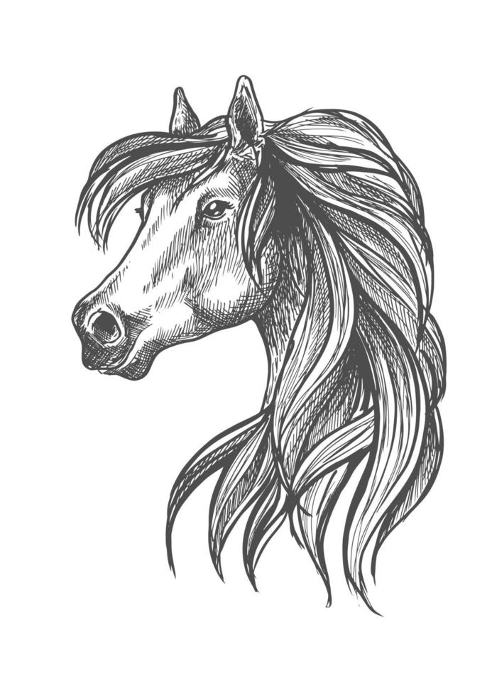 retrato de perfil de ícone de égua andaluz de raça pura vetor