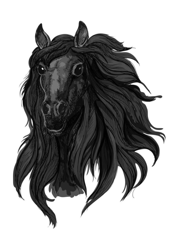 desenho de cavalo correndo com garanhão árabe marrom 11776371 Vetor no  Vecteezy