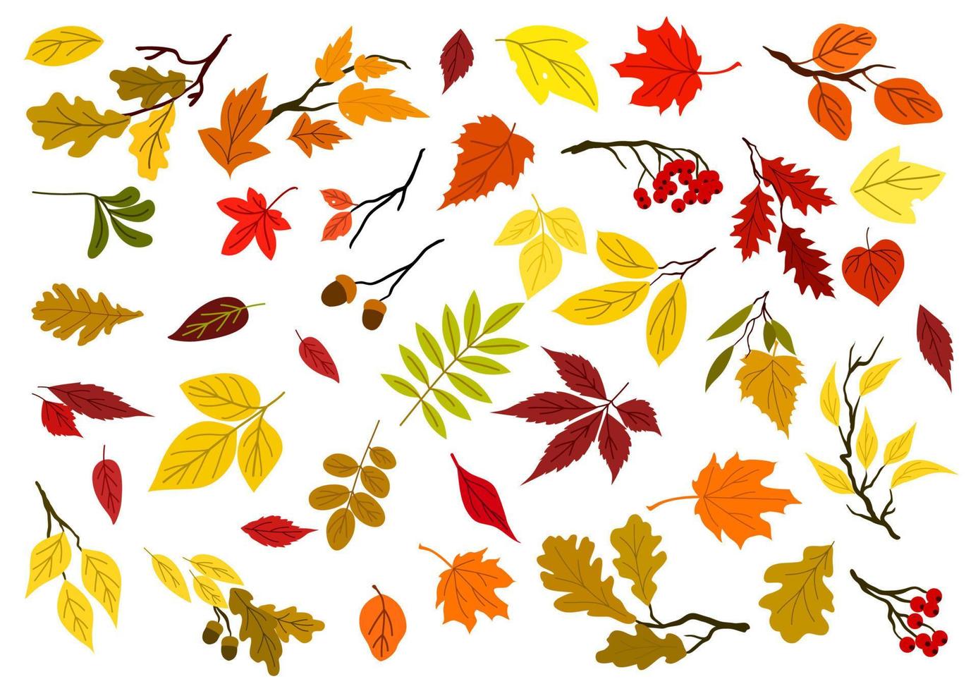 folhas de outono, bolotas e galhos de árvores vetor