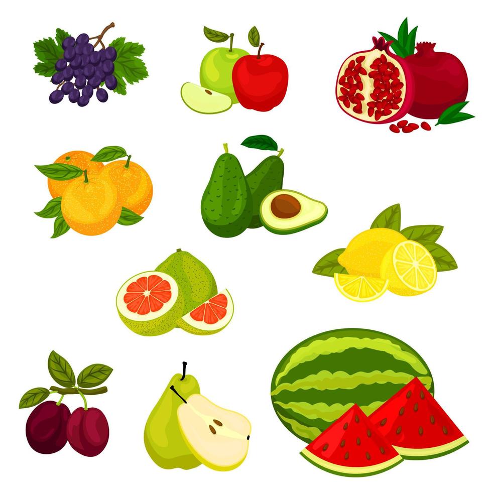 conjunto de ícones de vetor isolado de frutas frescas.