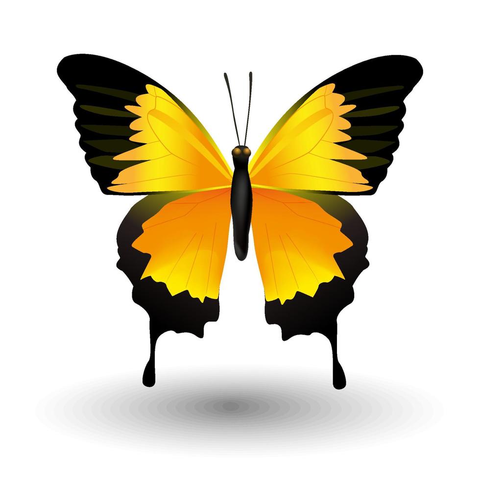 ícone de borboleta. Inseto de borboleta realista 3D com belas asas de cor amarelo alaranjado. sinal animal para design de logotipo, pôster, impressão de camiseta, banner. ilustração vetorial isolada no fundo branco vetor