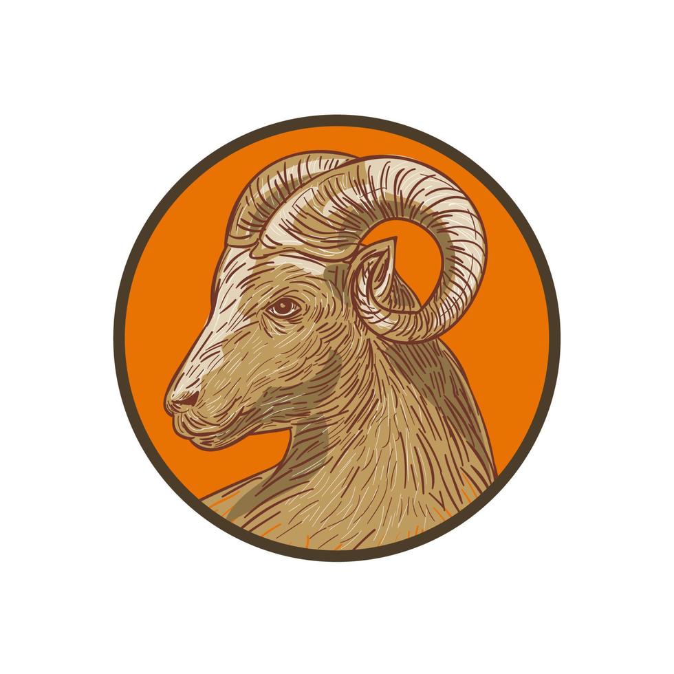 desenho de círculo de cabeça de cabra de carneiro vetor