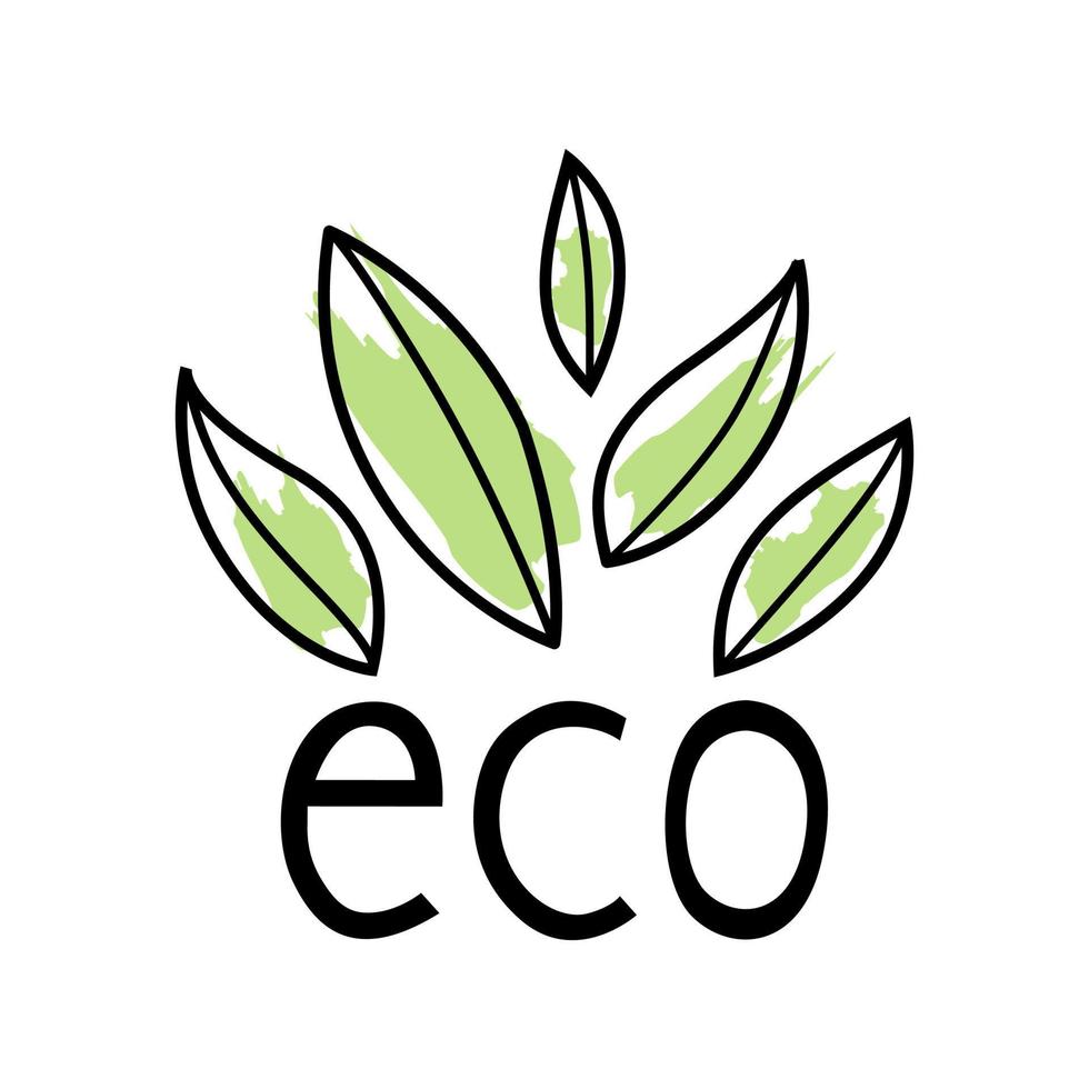 folhas vetoriais para produtos ecológicos com pincelada verde vetor