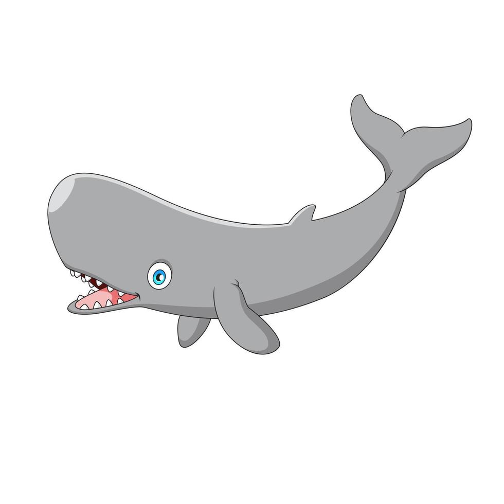 cachalote bonito dos desenhos animados. ilustração de desenho animado de mamífero marinho vetor