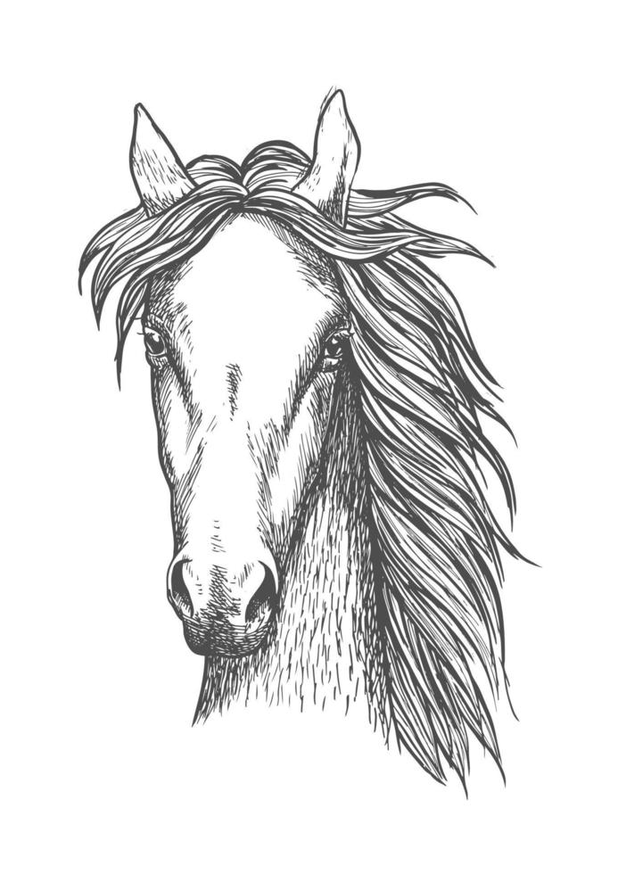 símbolo de esboço de cavalo puro-sangue muscular vetor