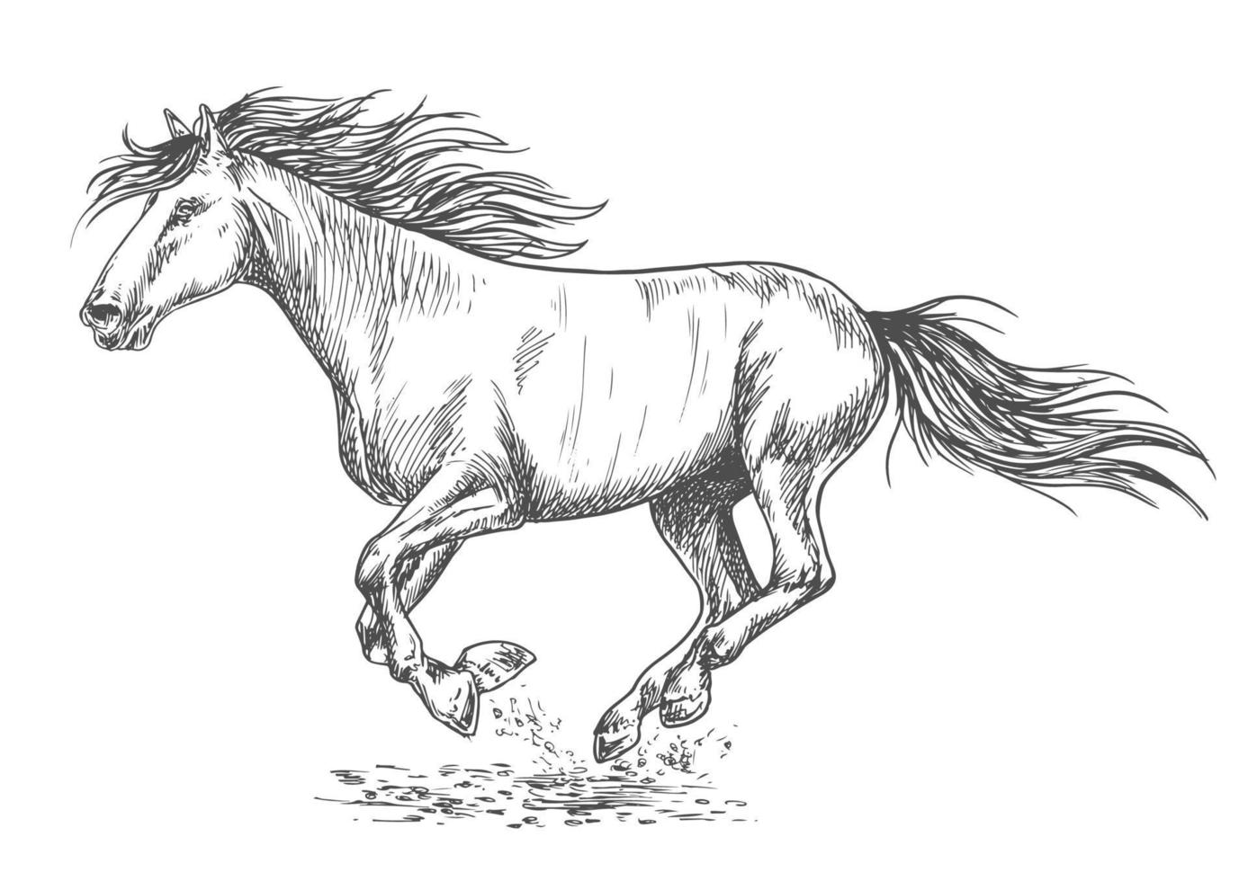 rush correndo retrato de esboço de cavalo vetor