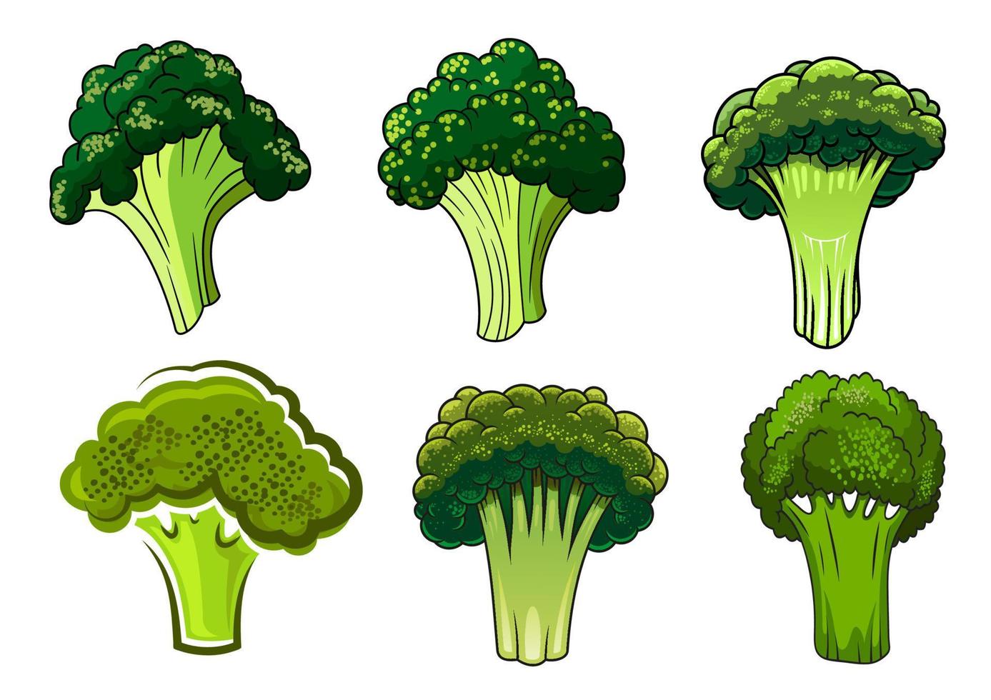 vegetais de brócolis maduros verdes isolados vetor