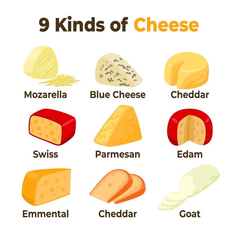 diferentes tipos de queijo. comida saudável. sobremesa de aperitivo de almoço, com edam, cheddar, queijo azul, suíço, mussarela, cabra e emmental vetor