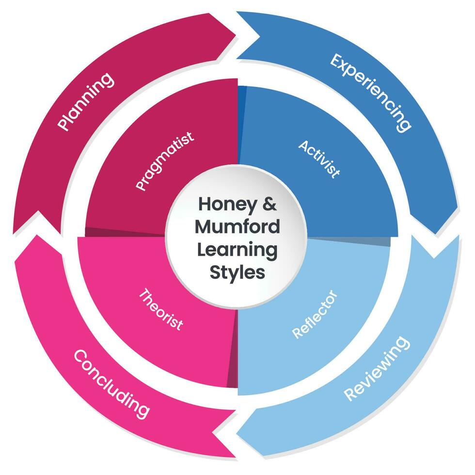 khoney e mumford modelos de estilos de aprendizagem infográfico vetor