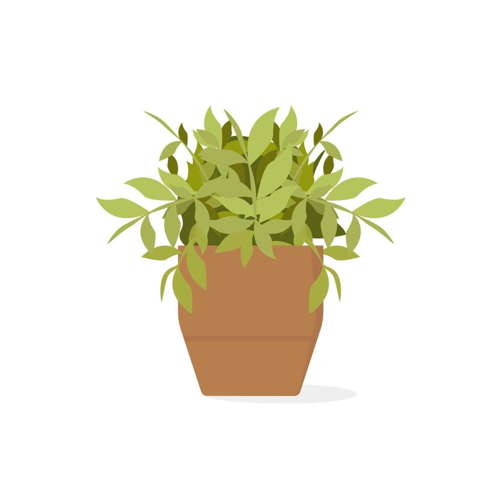 planta de casa em vaso com folhas verdes. planta de casa crescendo. ilustração vetorial isolada no fundo branco vetor