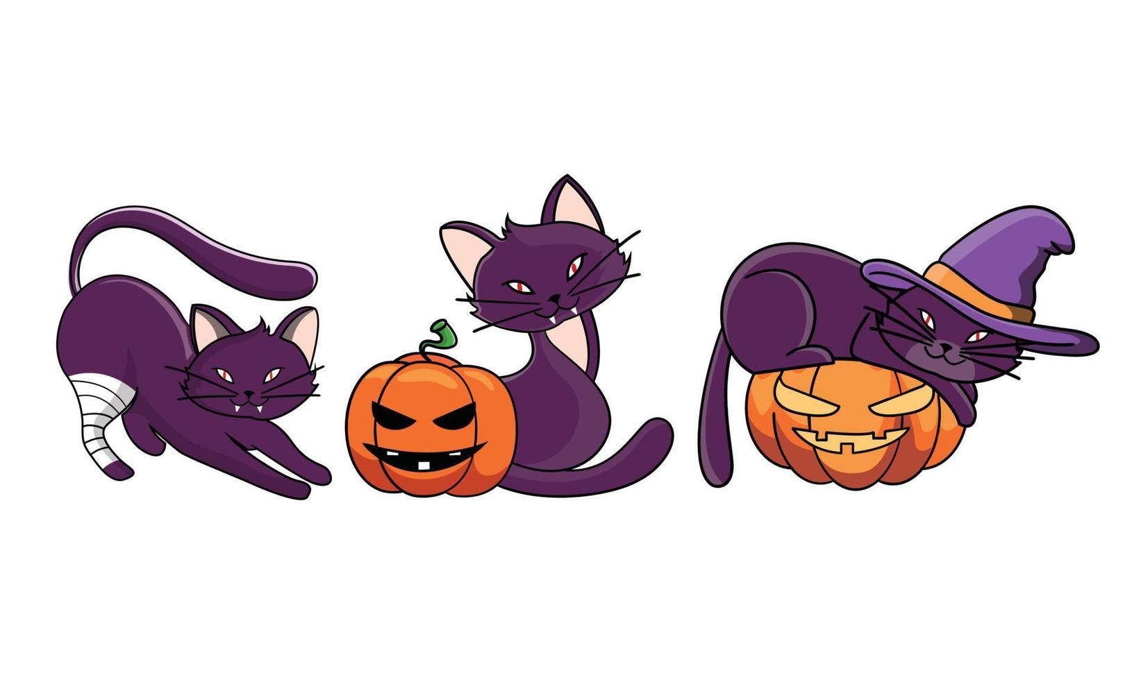 gato bonito em trajes de halloween. fantasia de chapéu de bruxa, cabeça de abóbora, curativo, jack o 'lantern vetor