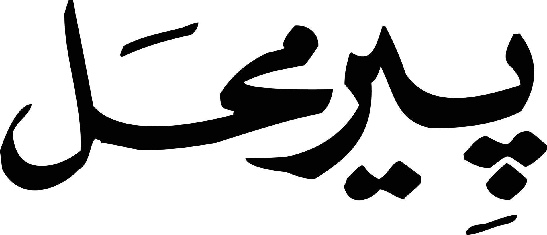 vetor livre de caligrafia islâmica de título de par mahal