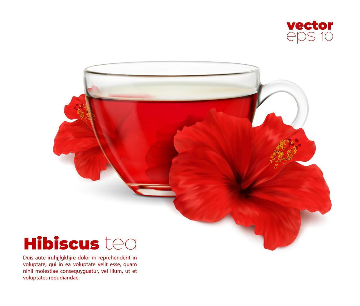xícara de chá de hibisco realista, bebida de flor de sabor vetor