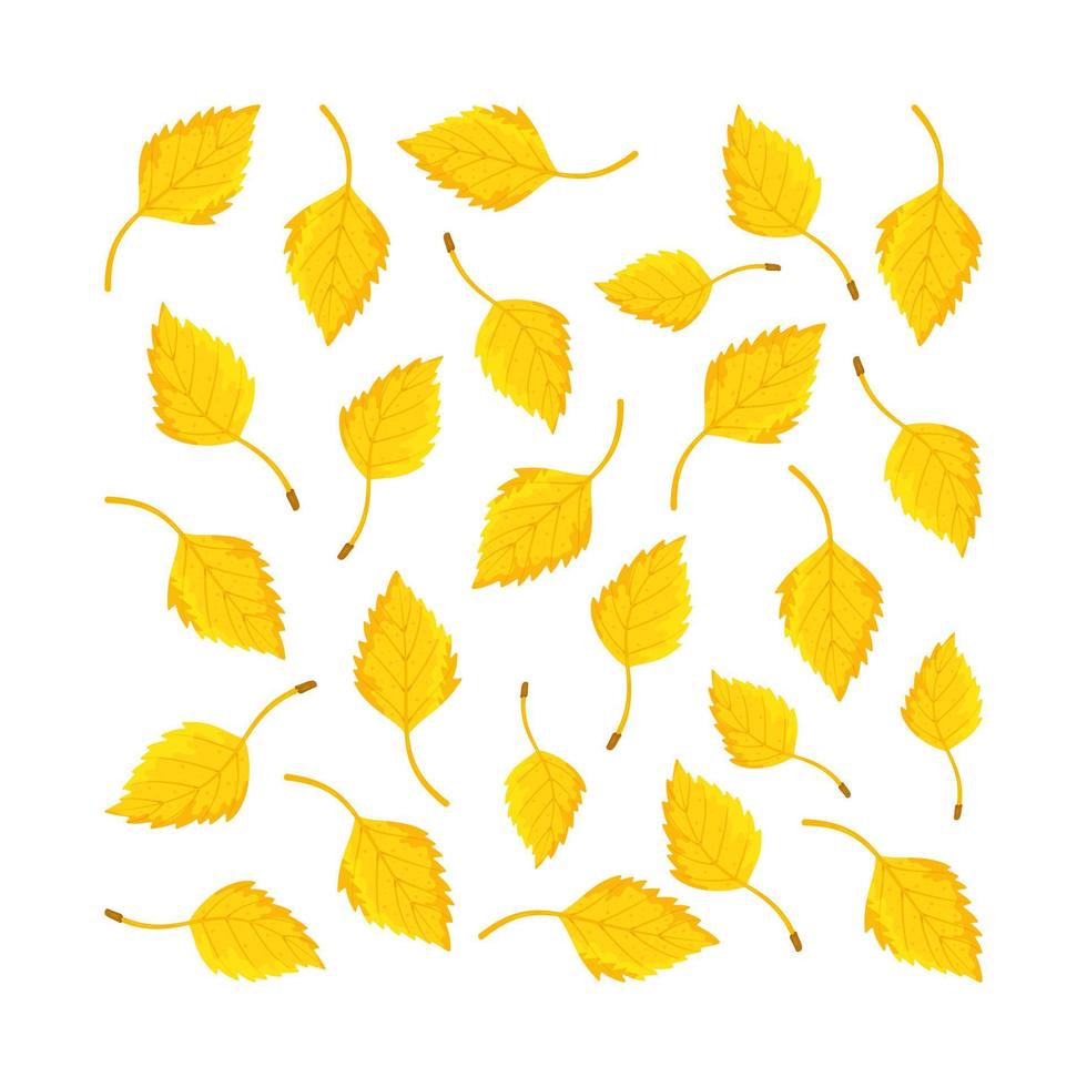 ilustração em vetor de folhas de bétula de outono. folhas amareladas. padronizar.