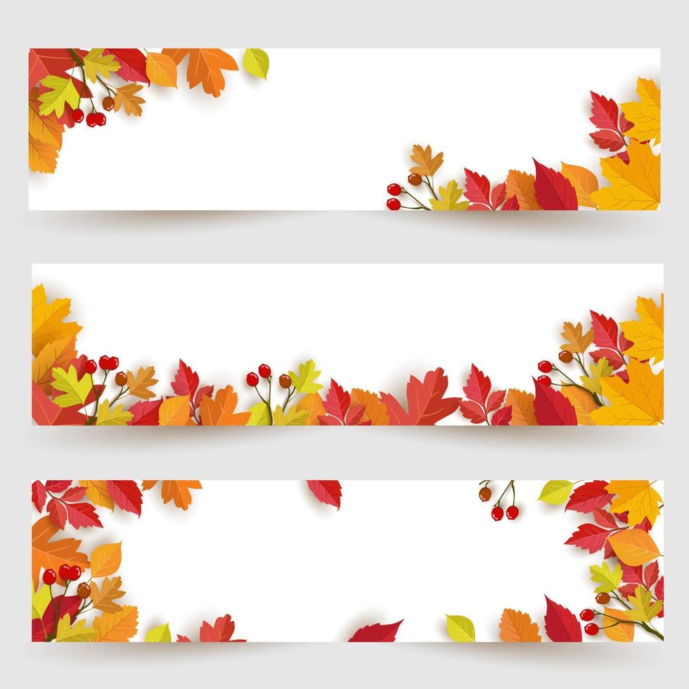 fundo de banner outono com folhas. modelo de banner de fundo vetor