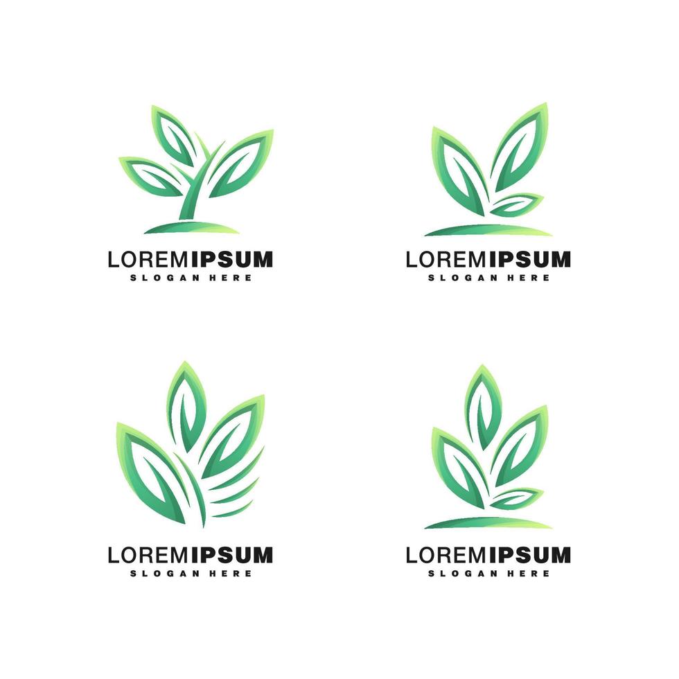 conjunto de design de logotipo colorido de folha vetor