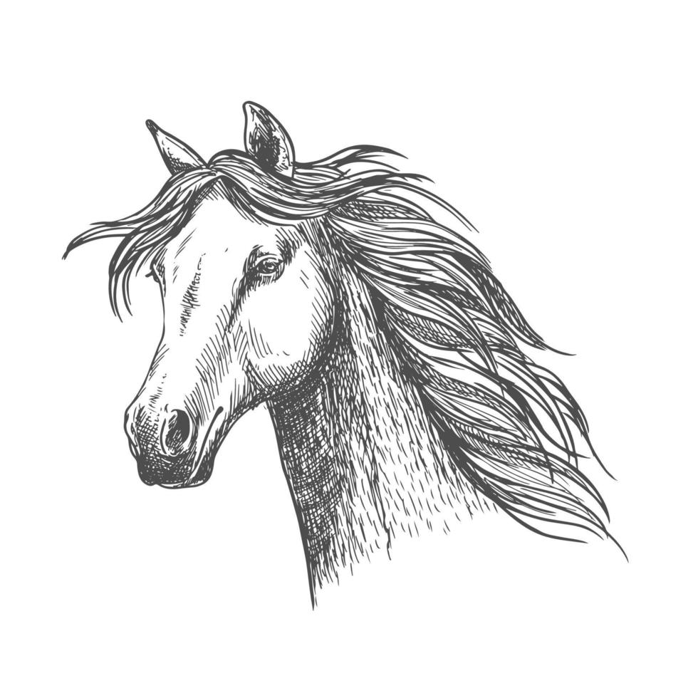 cavalo gracioso branco com retrato de esboço de juba vetor