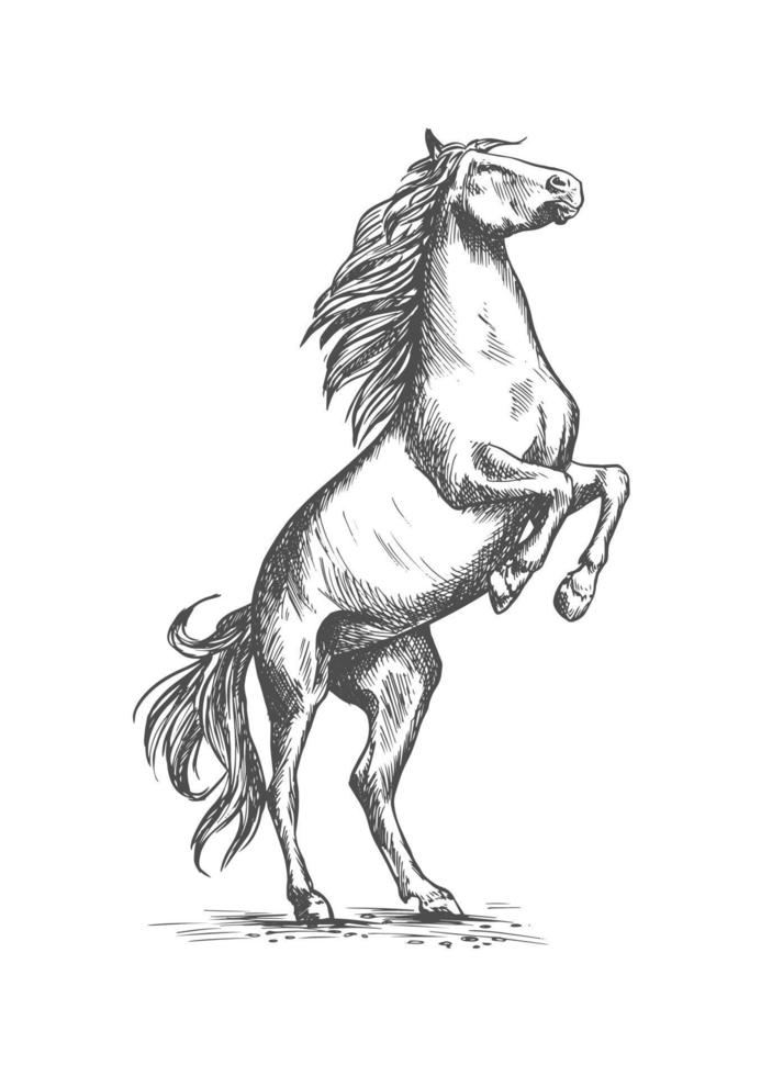 criação de cavalo desenho vetorial equino corrida de cavalos esporte vetor