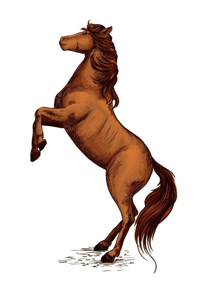símbolo de esporte de corrida de cavalos eqüino de criação de cavalos vetor