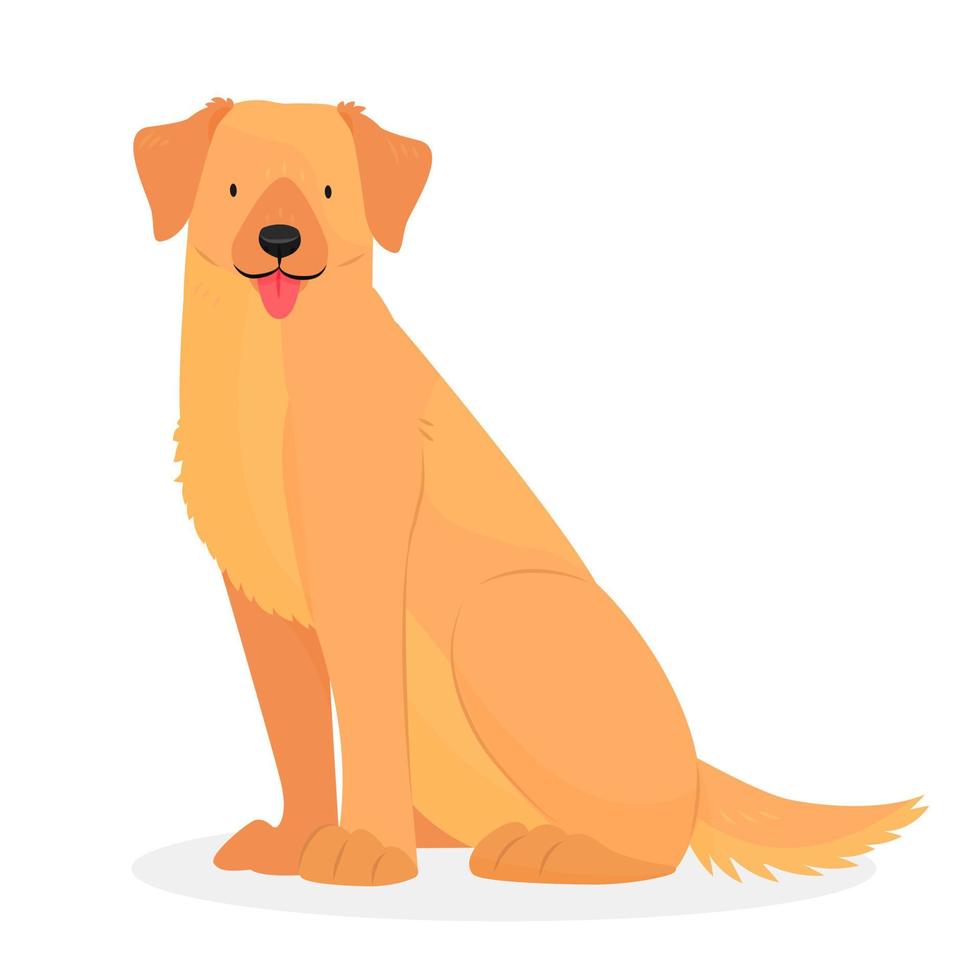 um labrador ou golden retriever com a língua de fora está sentado. o personagem é um cachorro isolado em um fundo branco. ilustração em vetor animal.