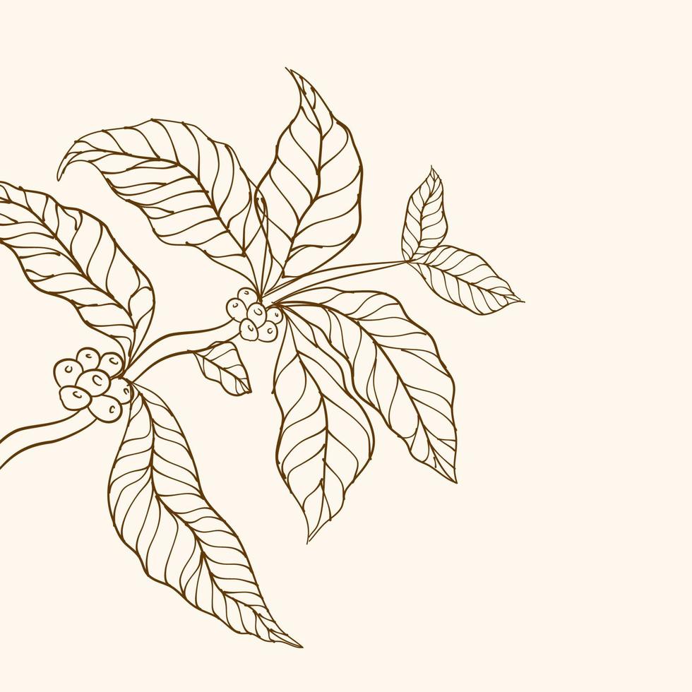 ramo de planta de café com folha. ramo de café desenhado à mão. grãos de café e folhas. ilustração de árvore. planta de café. vetor de árvore de café. ilustração em vetor de ramo de café. ramo com folhas.