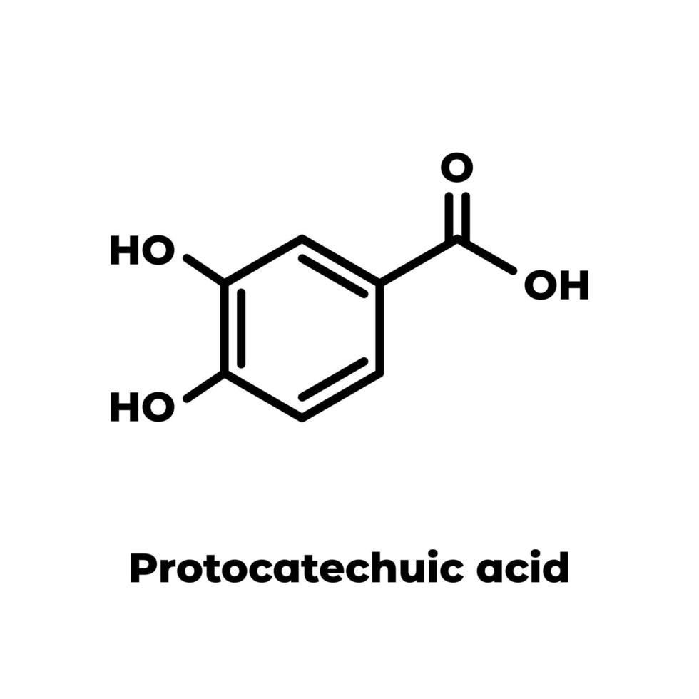 ácido protocatecuico pca molécula antioxidante do chá verde. fórmula esquelética em fundo branco. vetor