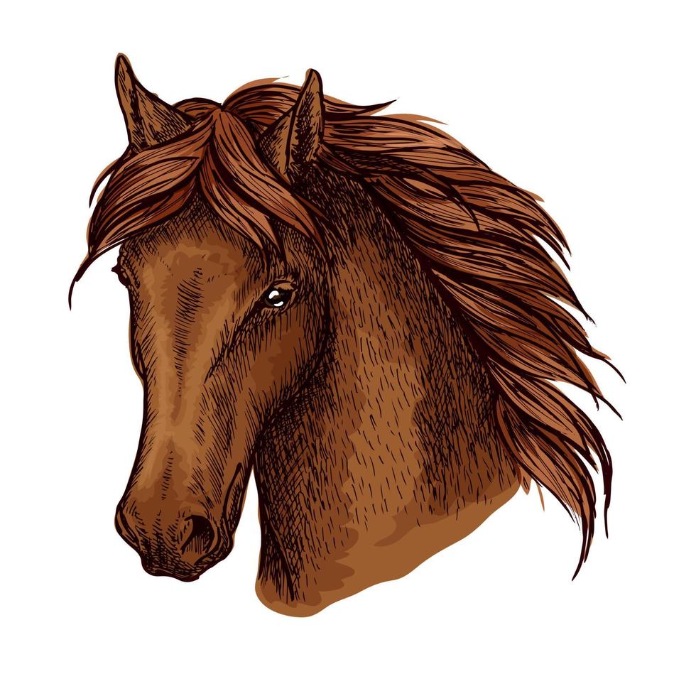 retrato de vetor de cavalo gracioso marrom
