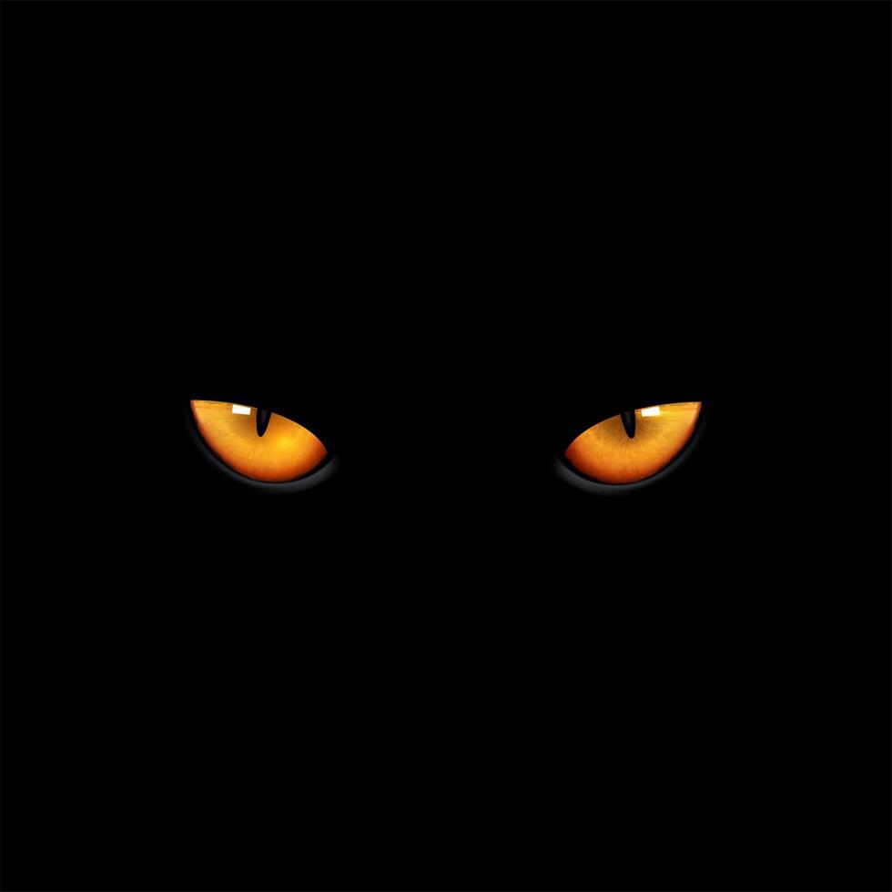 olhos de gato em fundo preto vetor
