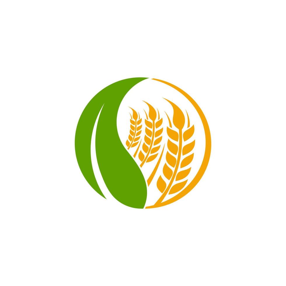 modelo de vetor de design de logotipo de agricultura de grãos de trigo