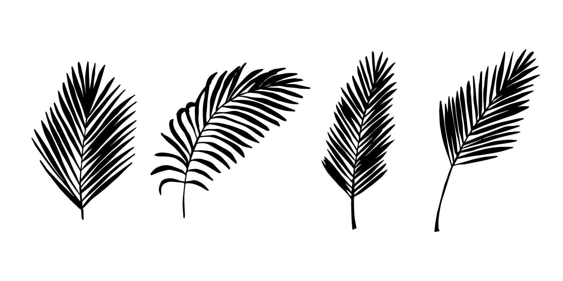 conjunto de ilustração de folhas tropicais simples. clipart vetorial desenhado à mão. rabisco botânico vetor