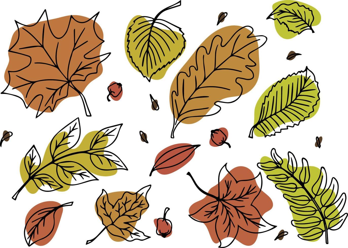 conjunto de vetores de folhas de outono coloridas em estilo doodle desenhado à mão. isolado no fundo branco