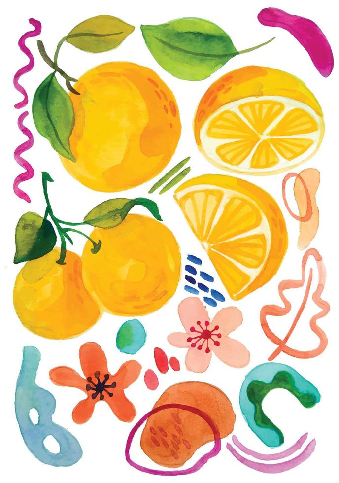 elementos de frutas laranja em aquarela vetor