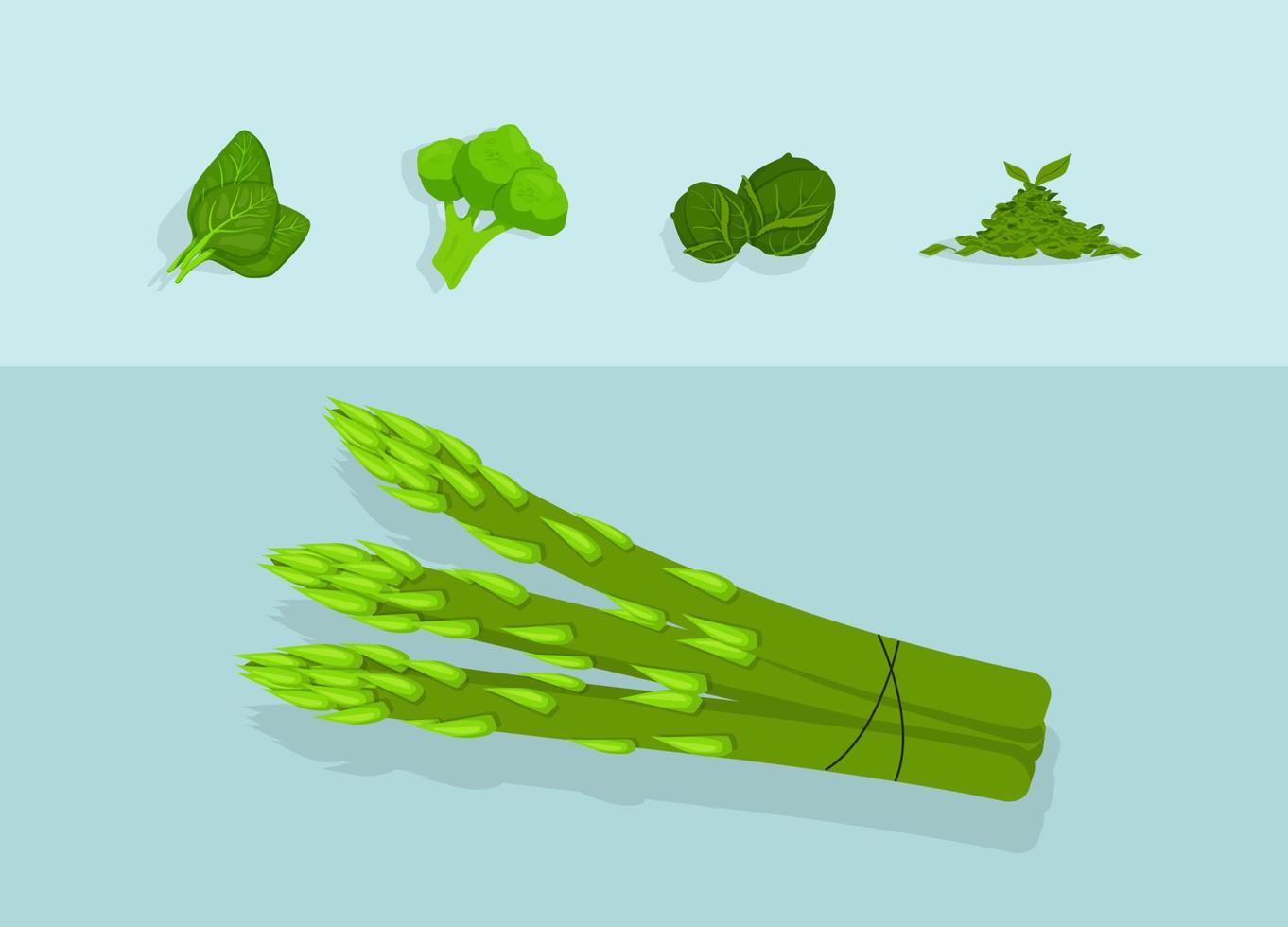 vegetais verdes antioxidantes de saúde. vitamina veggie produtos jovem repolho verde brócolis fresco espinafre orgânico antioxidante vetor espargos orgânicos adequado alimentação plana saudável.