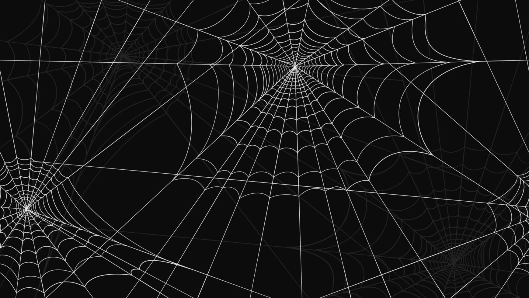 padrão de teia de aranha sem costura. desenhos de teia de aranha branca em fundo preto perigo de design gráfico armadilha de insetos assustadores abstrato celebração vetor halloween.