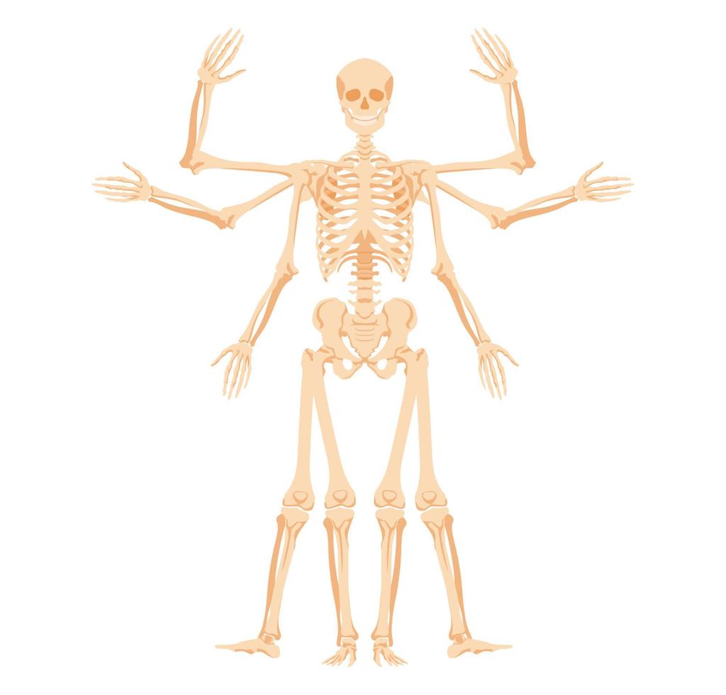 esqueleto humano com vários gestos. forma multiarmada com estágios de levantar e abaixar braços e pernas forma abstrata da seção de vetor dourado.