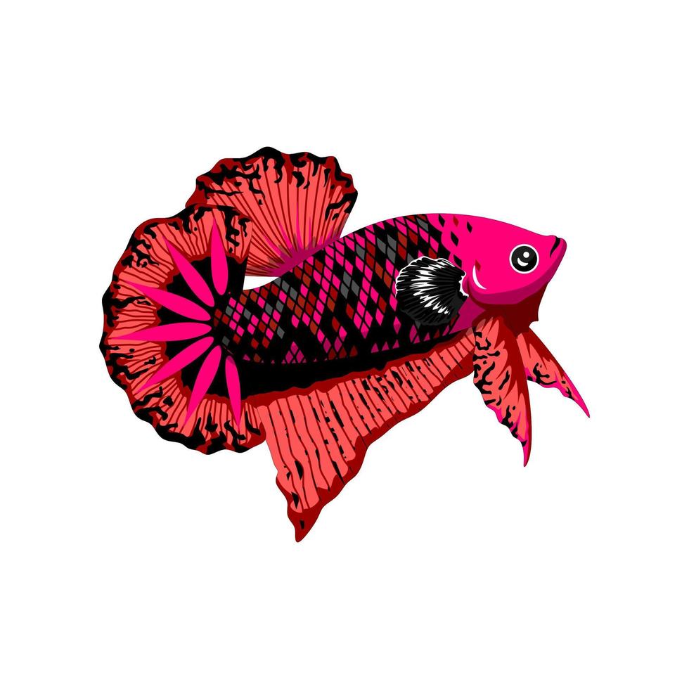 arte de ilustração vetorial de peixe betta vetor