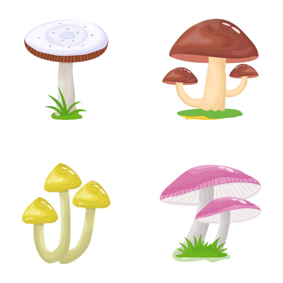 ilustrações planas de cogumelos vetor