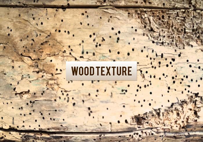 Textura de madeira de vetor livre