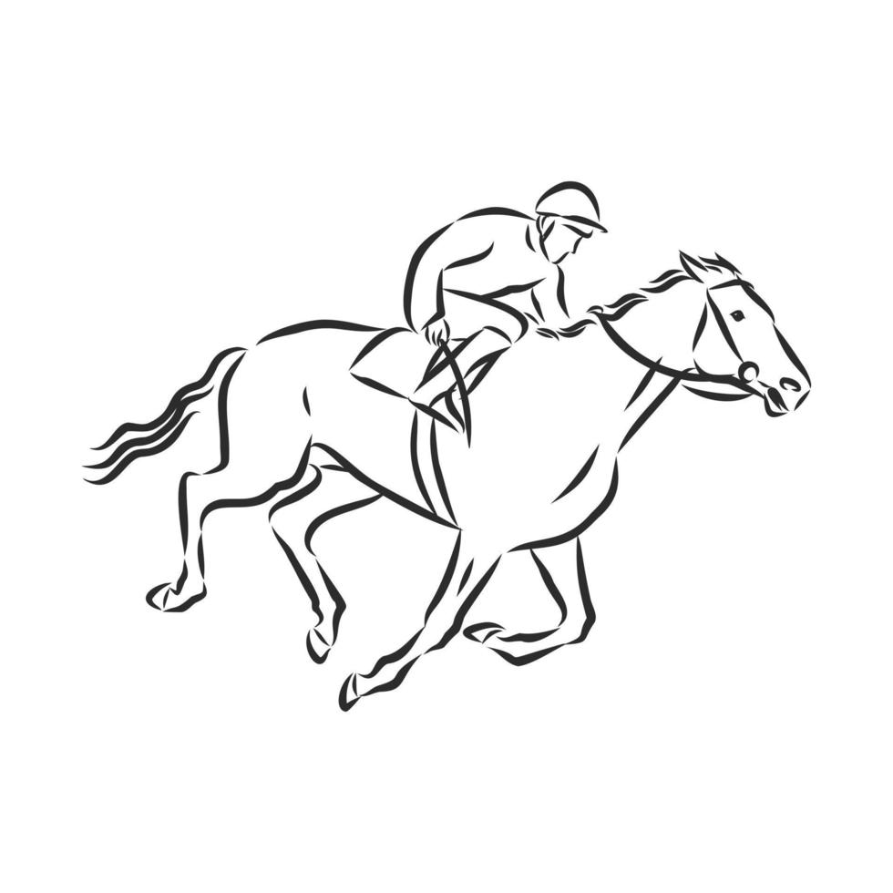 desenho vetorial de treinamento de cavalos vetor