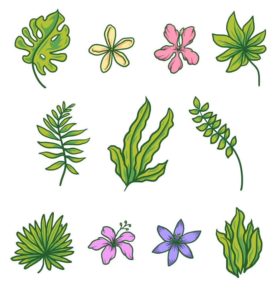 conjunto tropical com flores e folhas de palmeira, ilustração vetorial de arte de linha desenhada à mão vetor