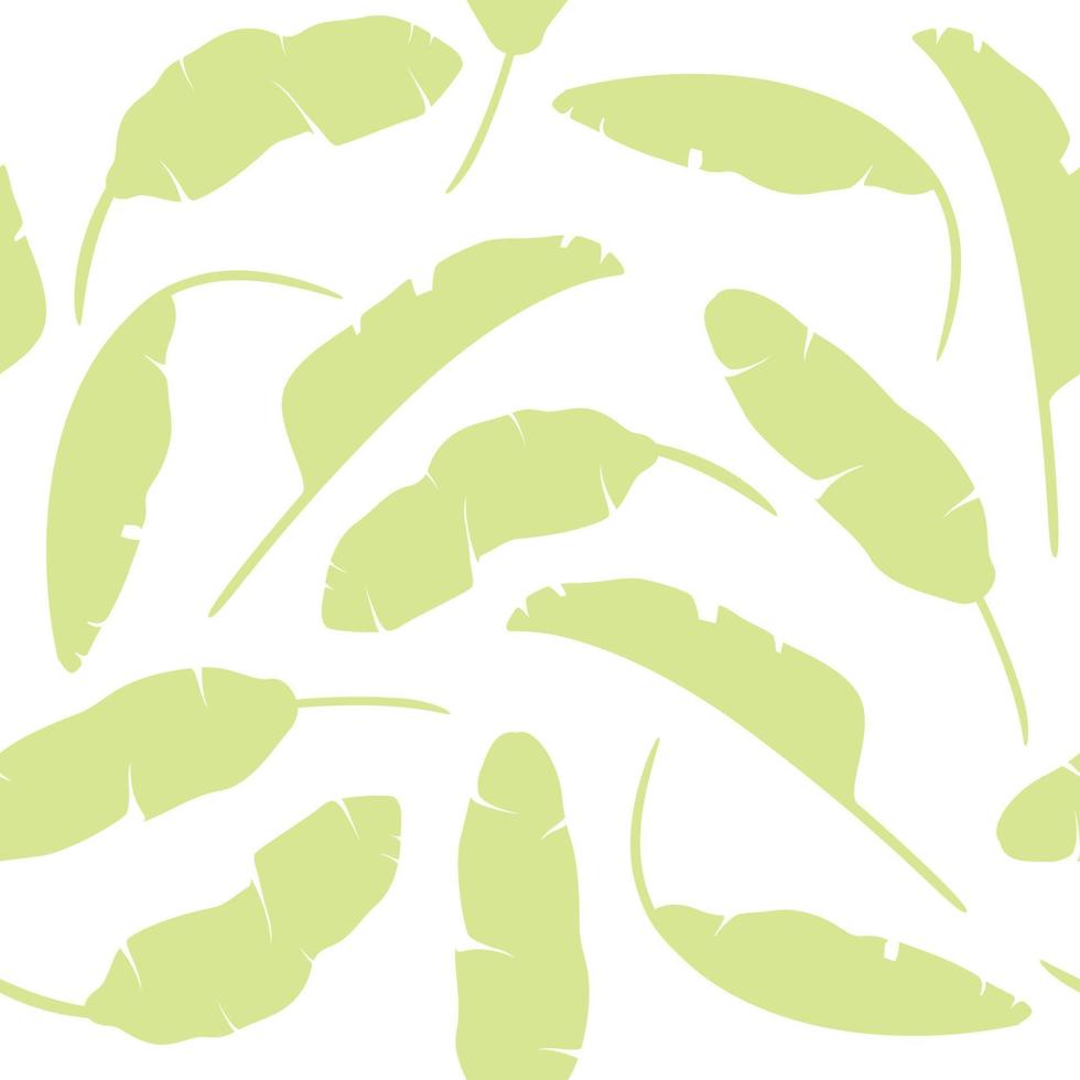conjunto de folhas tropicais. folhas de bananeira isoladas coloridas no fundo branco vetor