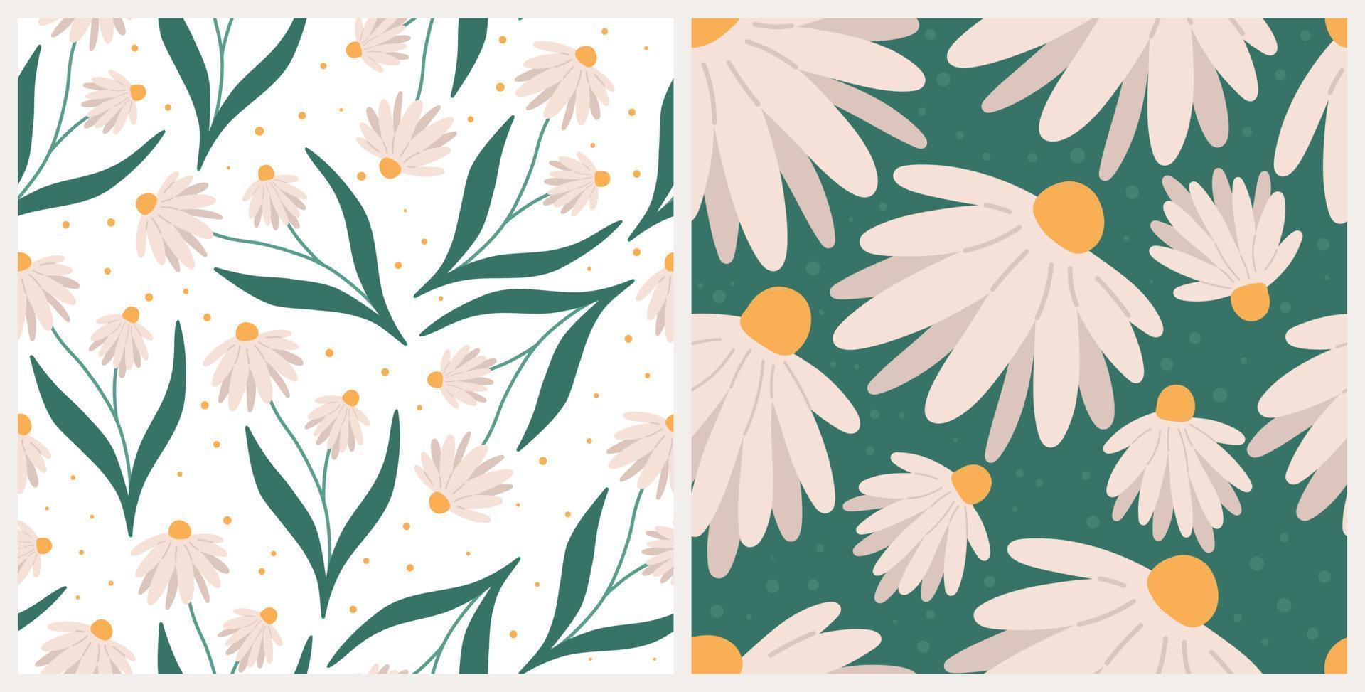 Conjunto de padrões sem emenda de flor de camomila, ilustração vetorial plana. fundo floral para papel de embrulho, impressão têxtil ou cartão de felicitações. conceito de primavera e verão. vetor