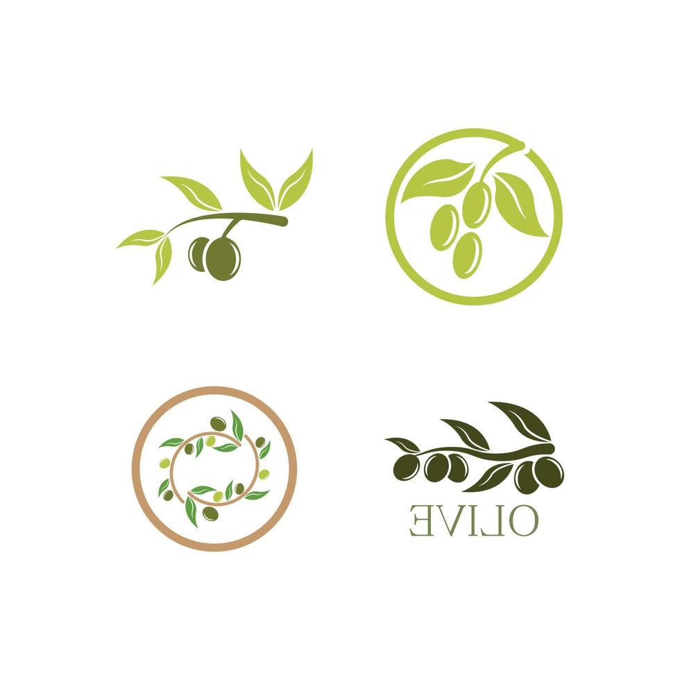ilustração das imagens do logotipo da oliveira vetor