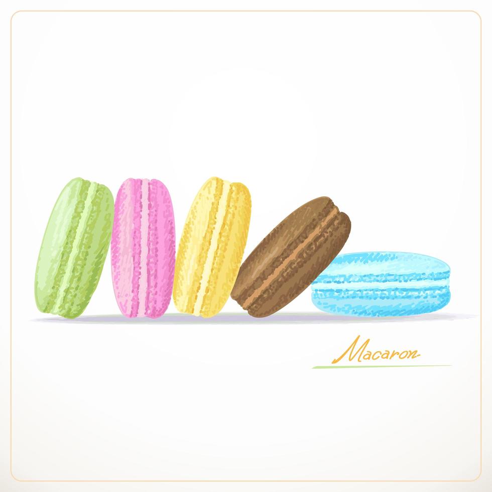 macarons franceses coloridos vetor