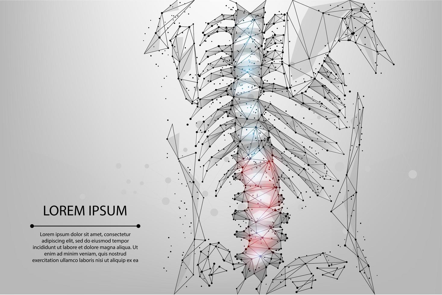 linha de malha abstrata e ponto fisioterapia espinha humana vetor